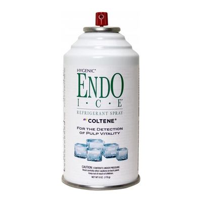 Endo-Ice 170 g (Coltene / Hygenic)